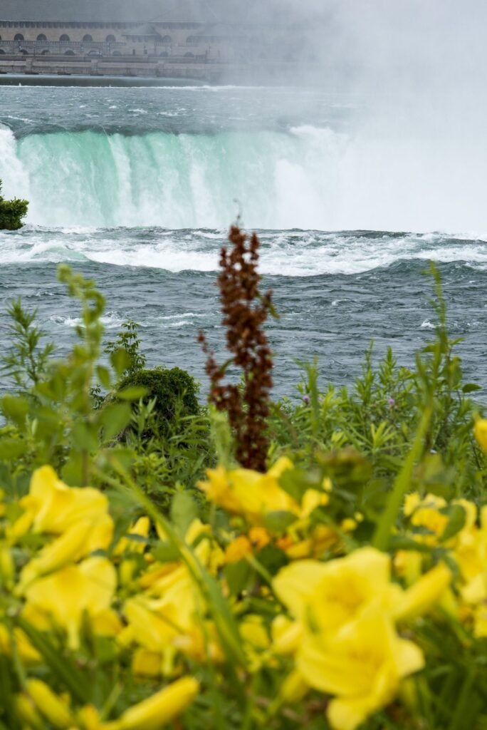 Foliage In Back Is Sharp Along With The Waterfall