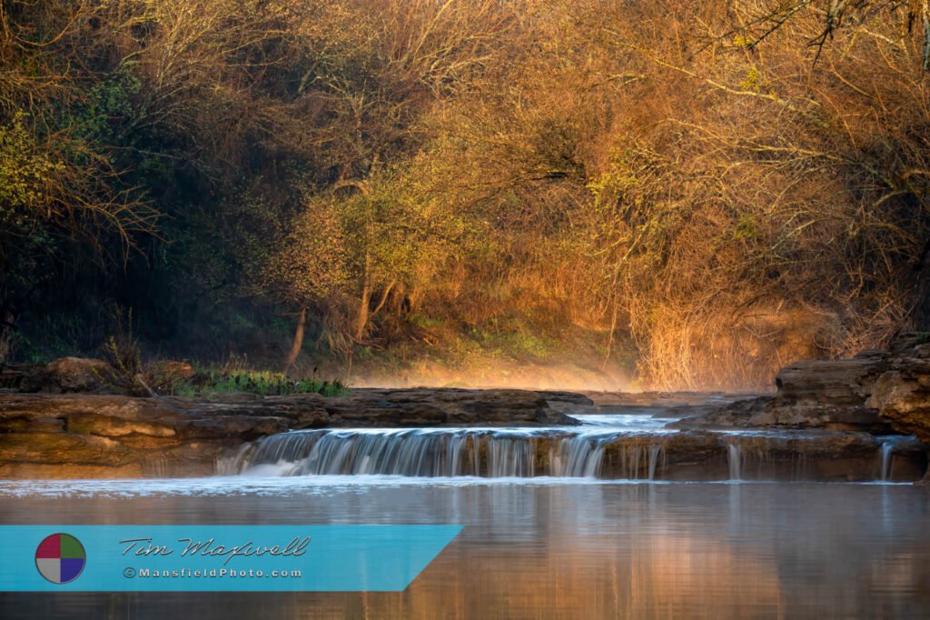 First Light On Bowman Branch