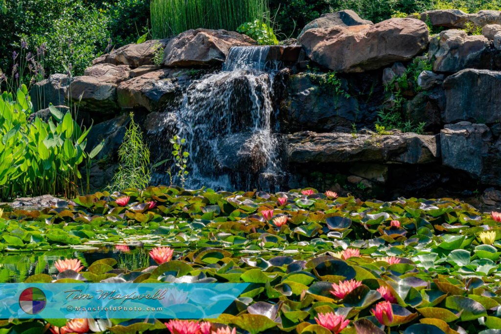 Dallas Arboretum And Botanical Garden