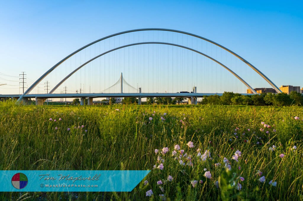 Margaret Mcdermott Bridge Rainbow