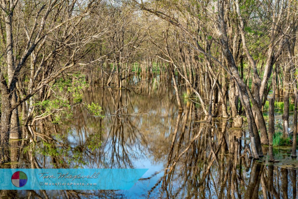 Texas Stock Photos - Creek And Ponds