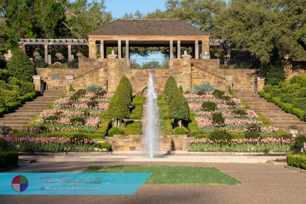 Rose Garden, Fort Worth Botanic Gardens