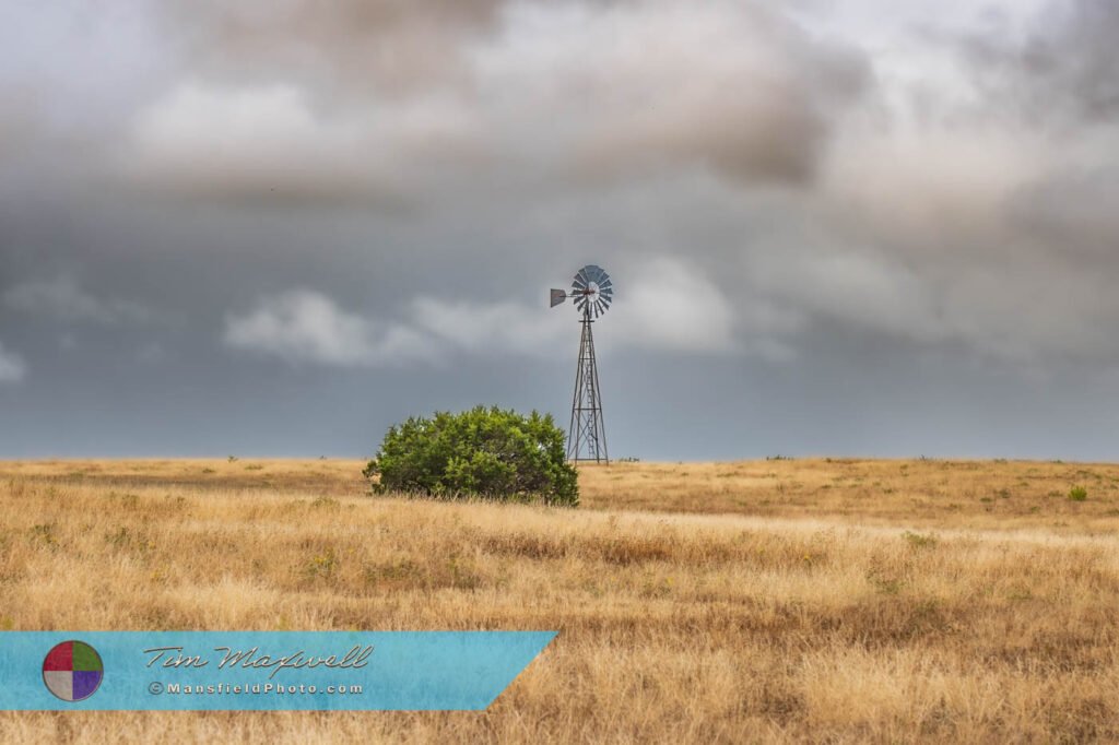 West Texas Windmill And Bush