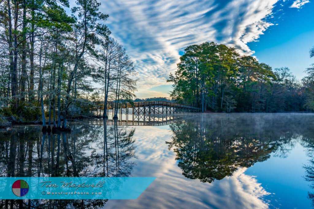 Bridge At Steinhagen Reservoir, Tx