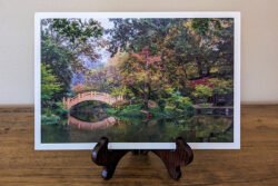 Autumn Japanese Garden Print On Mount