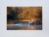 Bowman Branch Creek Print with Mat (8×12)