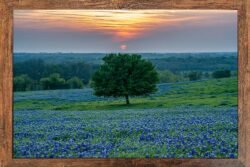 Field-of-View-A4-14208 12x18 Framed Print