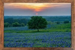 Sunset the Monday before Easter 2023 in Texas. 12x18 Framed Print for sale.