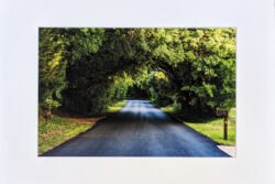 Mansfield Road - Print with Mat (8x12)
