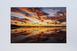Reflections at Lake Worth - Print with Mat (8x12)