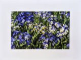 Spring Flowers - Print with Mat (8x12)