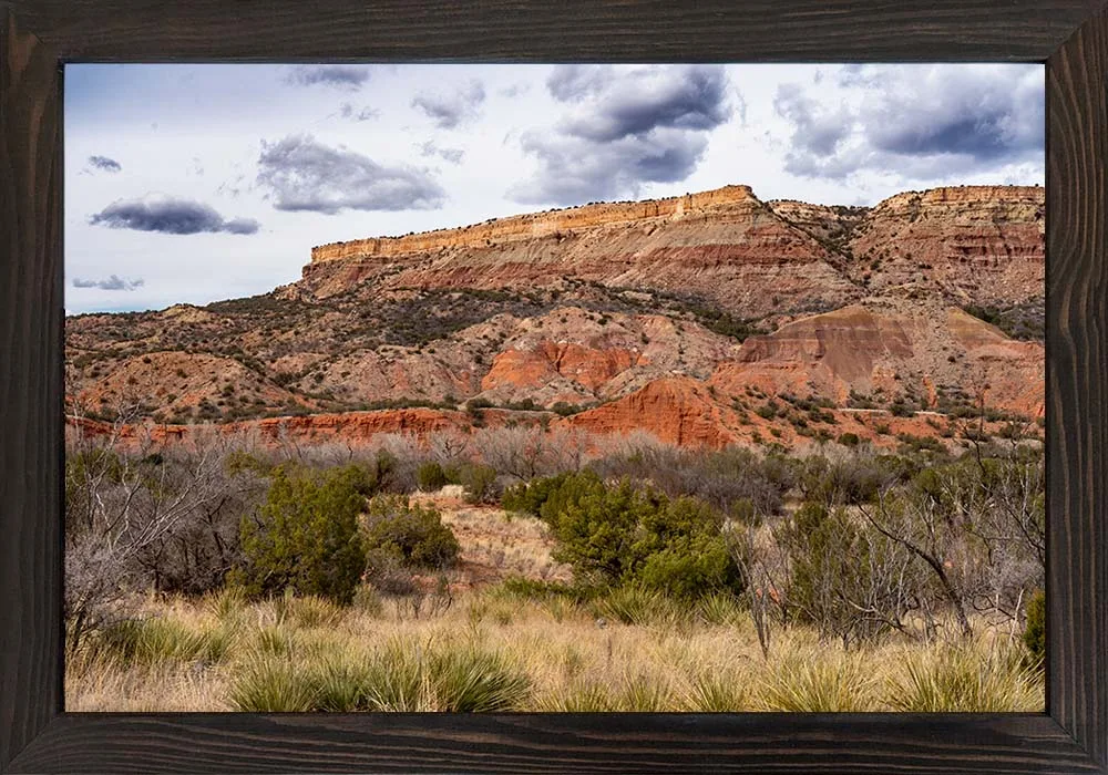 Texas-Canyons-A4-13593 12x18 Framed Print