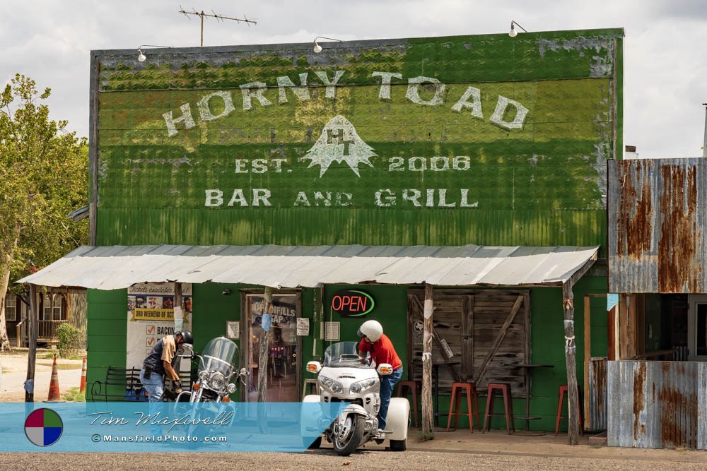 Horny Toad, Cranfills Gap, Texas