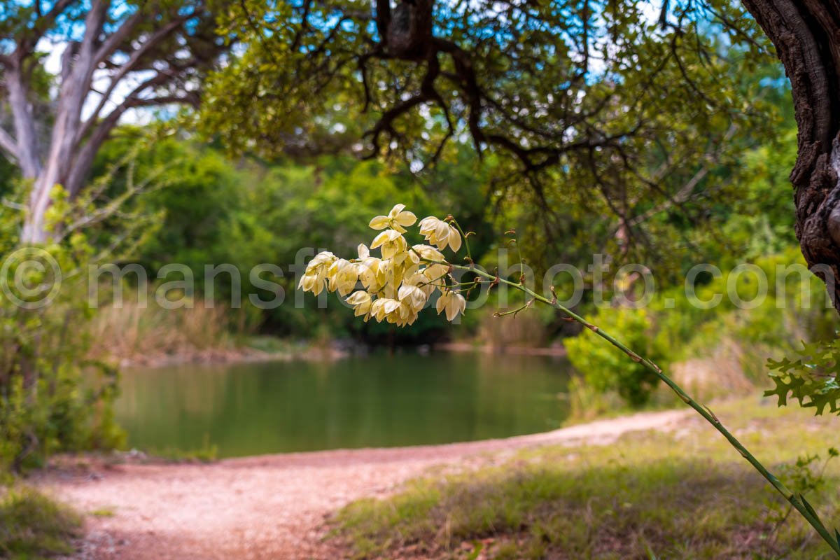 Cleburne State Park, Tx A4-01049