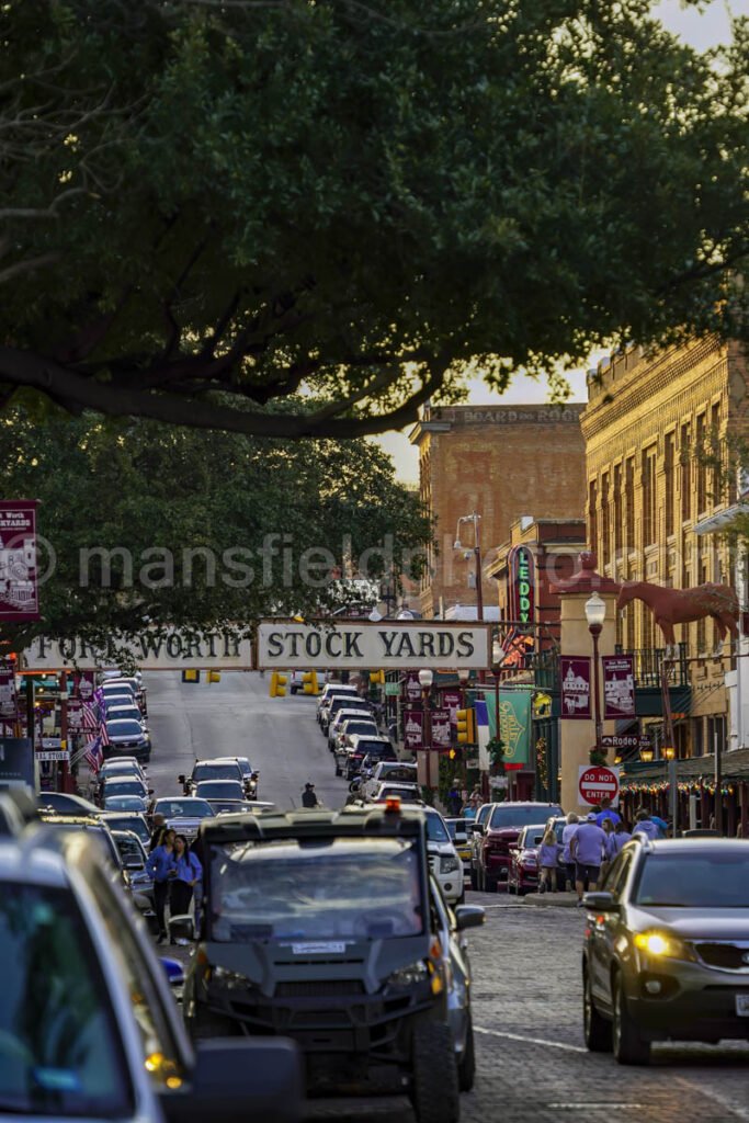 Fort Worth Stockyards A4-01103 - Mansfield Photography