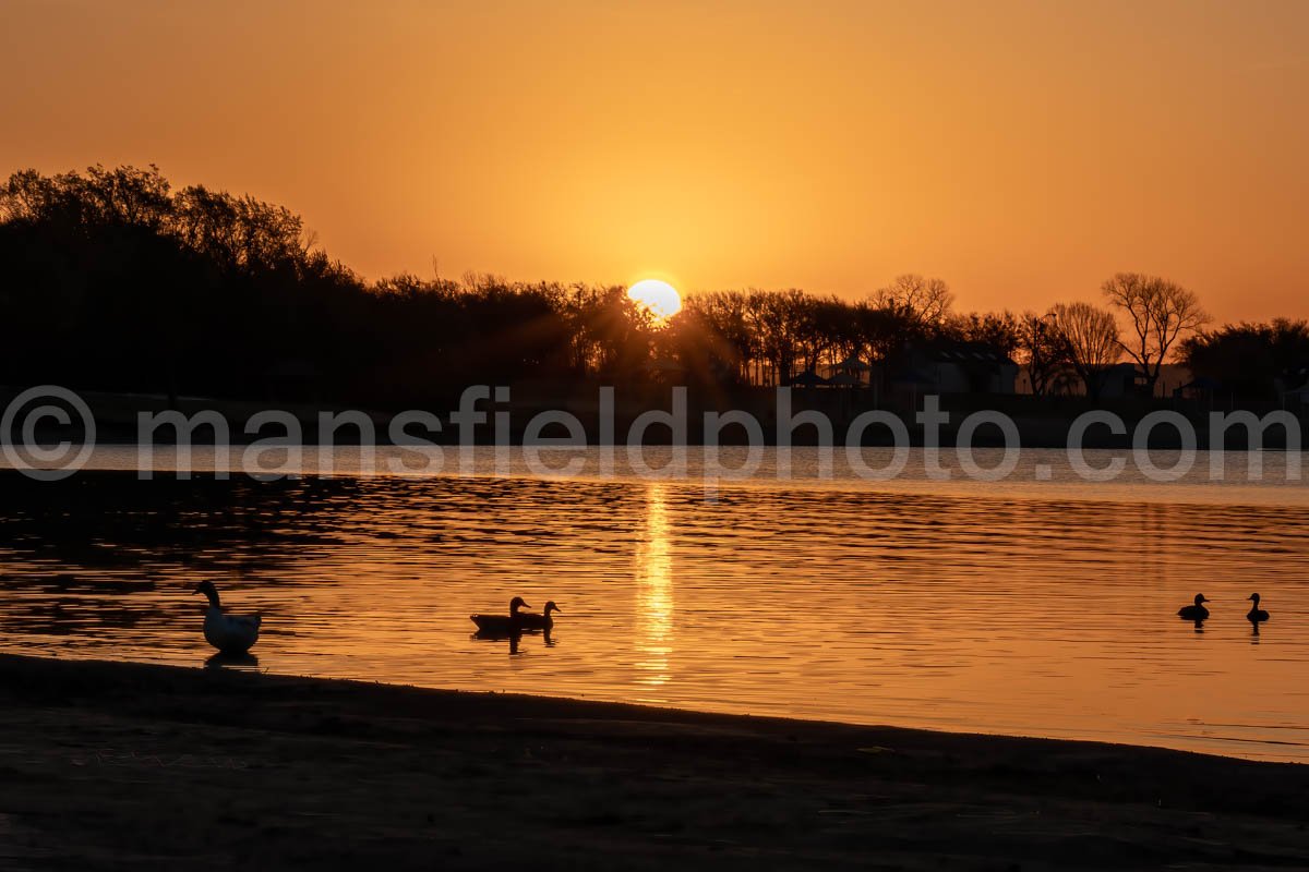 Sunrise At Lynn Creek Park A4-01250