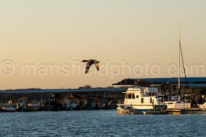 Morning At Lynn Creek Park A4-01259 - Mansfield Photography