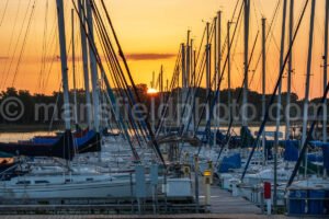 Boats At Lynn Creek Marina A4-01271 - Mansfield Photography