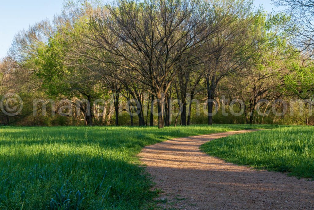 Rose Park, Mansfield, Tx A4-01302 - Mansfield Photography