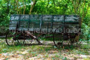 Wagon At Log Cabin Village, Fort Worth A4-01426 - Mansfield Photography