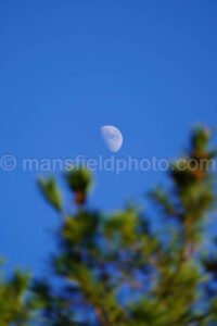 Moon Rising A4-01700 - Mansfield Photography