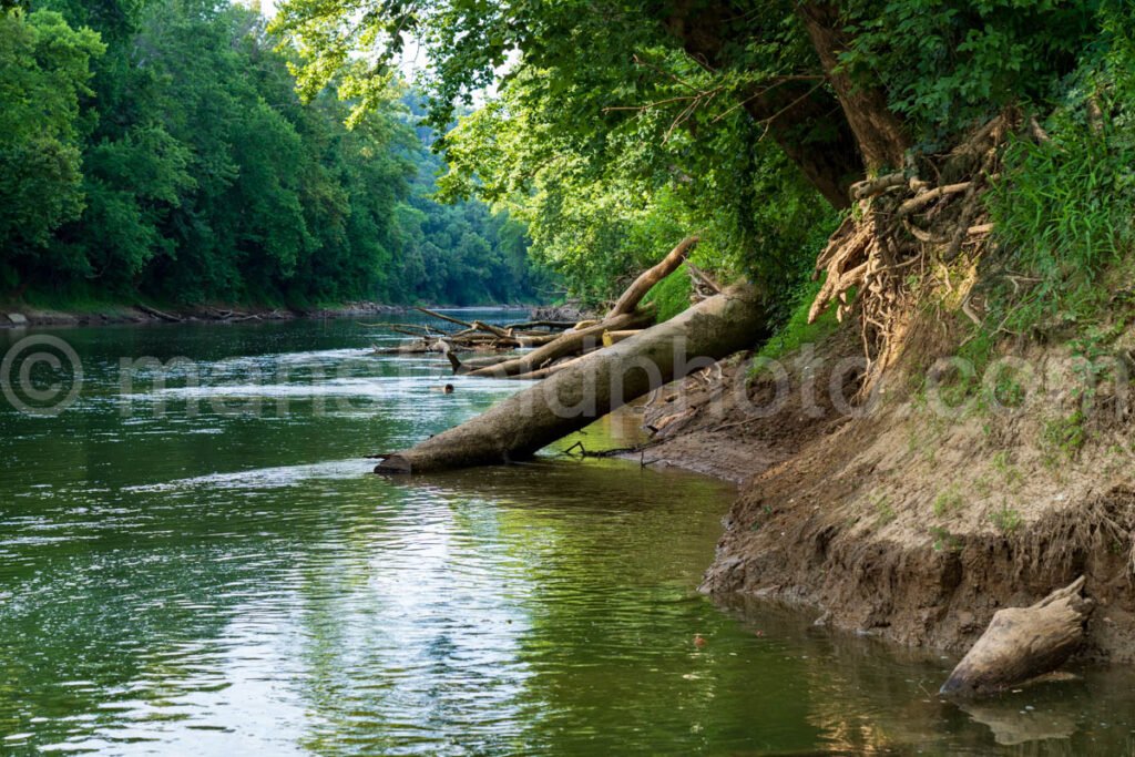 Near Mammoth Caves, Ky A4-01801 - Mansfield Photography