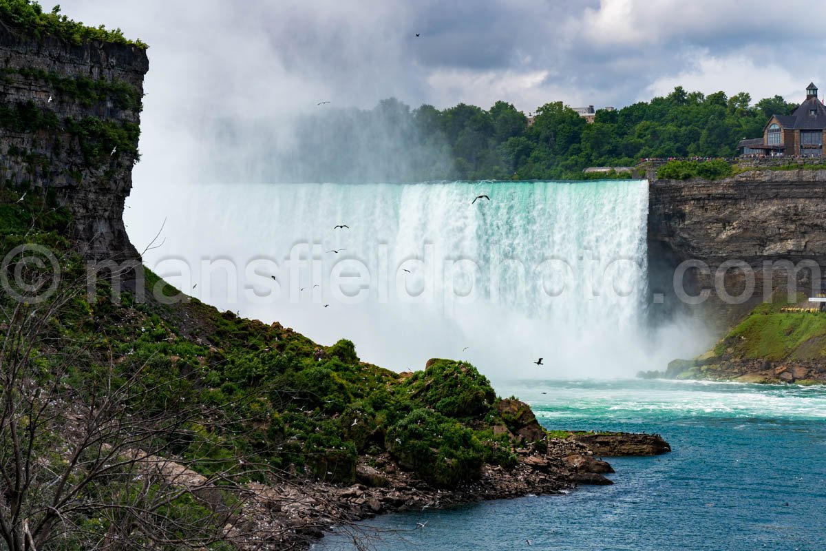 Niagara Falls A4-02102