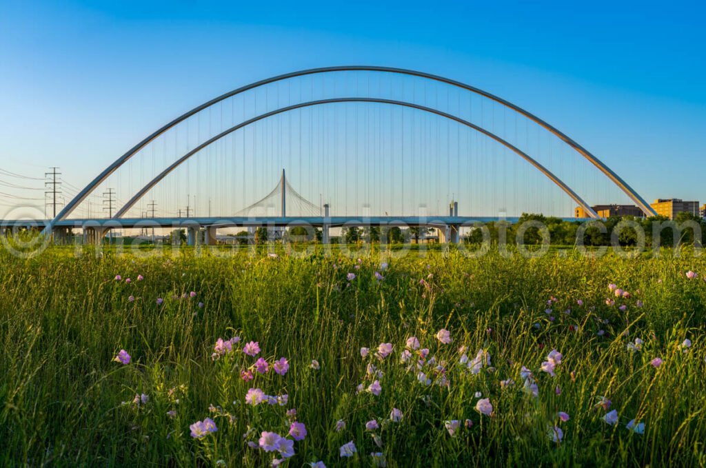 Margaret Mcdernott Bridge A4-03101 - Mansfield Photography