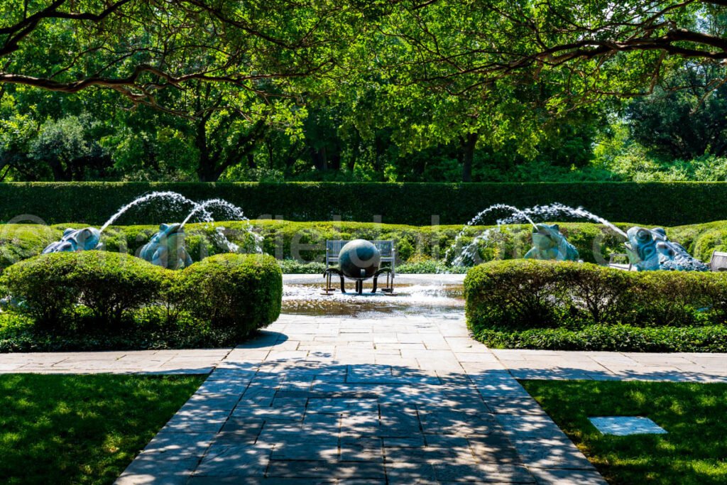 Dallas Botanical Garden A4-03673 - Mansfield Photography