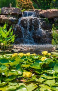 Dallas Botanical Garden A4-03685 - Mansfield Photography