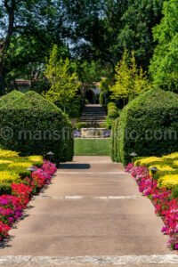 Dallas Botanical Garden A4-03704 - Mansfield Photography