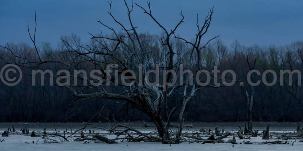 Morning At Britton Park A4-04005 - Mansfield Photography