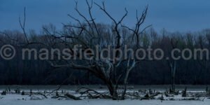 Morning At Britton Park A4-04005 - Mansfield Photography