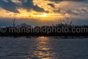 Morning Sunrise At Britton Park A4-04006 - Mansfield Photography