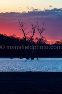 Morning At Britton Park A4-04007 - Mansfield Photography