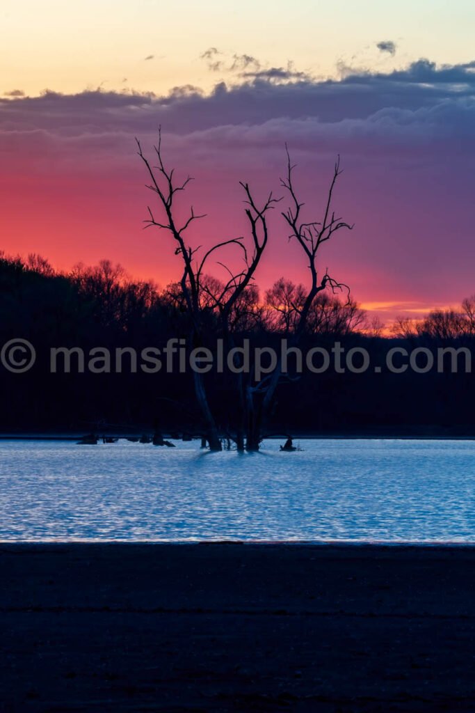 Morning At Britton Park A4-04007 - Mansfield Photography