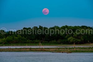 Full Moon At Britton Park A4-04022 - Mansfield Photography