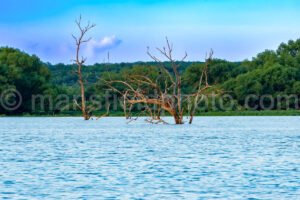 Britton Park A4-04024 - Mansfield Photography