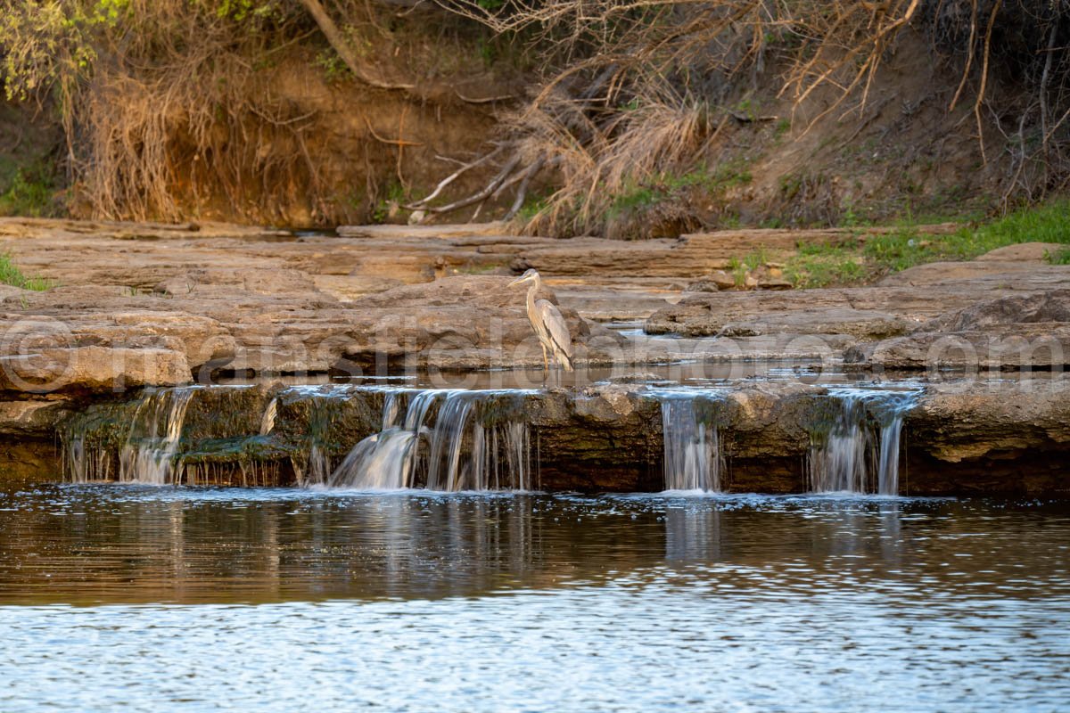 Bowman Branch Creek A4-04263