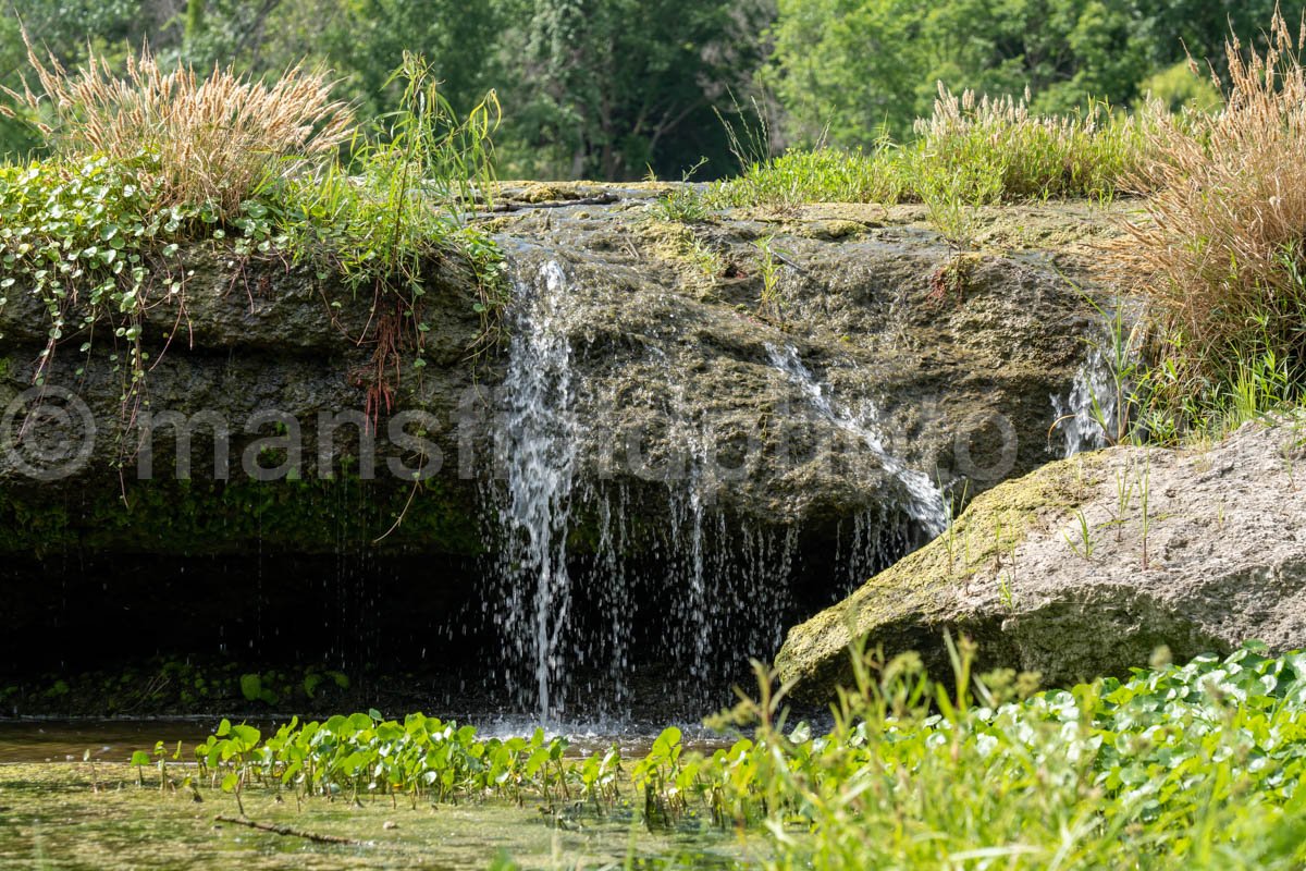 Waterfall At Sansom Park A4-04279