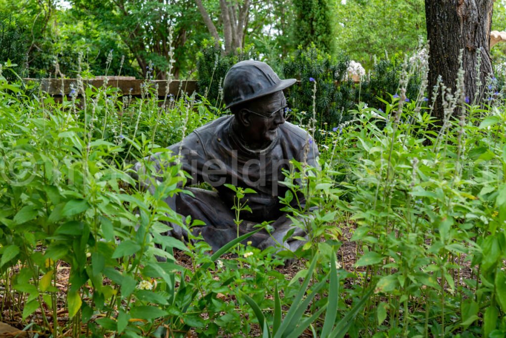 Statue at Clark Gardens