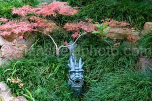 Chandor Gardens A4-04368 - Mansfield Photography