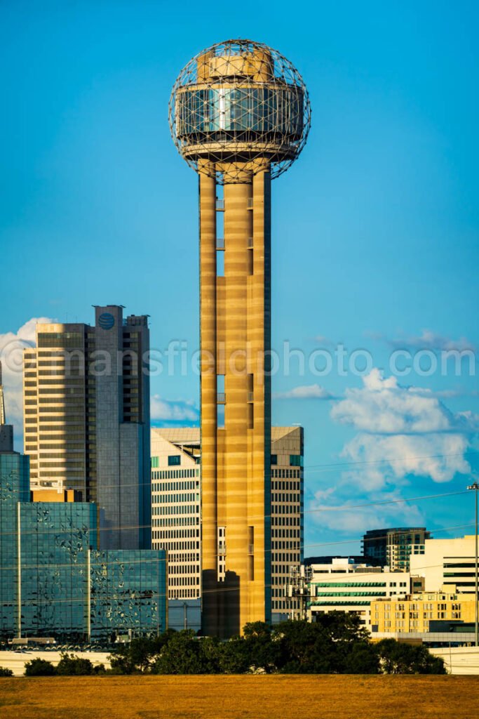 Reunion Tower A4-06749 - Mansfield Photography