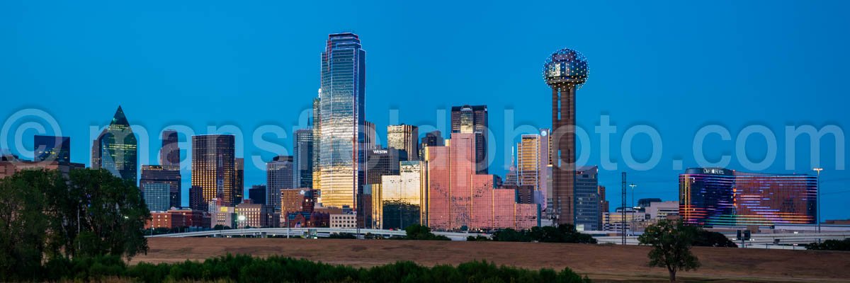 Downtown Dallas Cityscape A4-06824