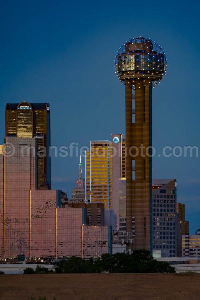 Reunion Tower A4-06831 - Mansfield Photography