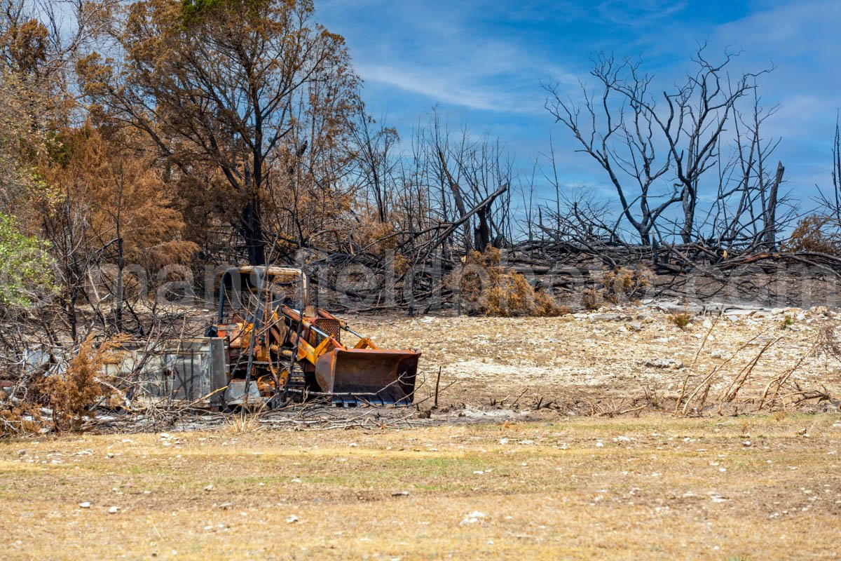 After the Fire (Glen Rose) A4-06983