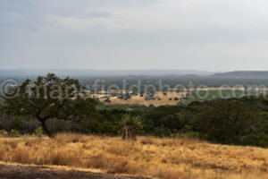 Texas View In The Rain A4-07092 - Mansfield Photography