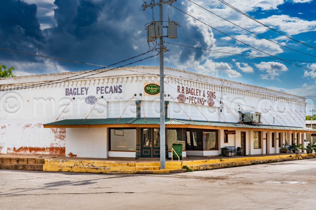 Pecans, San Saba, Texas