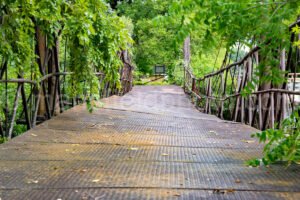Bluff Dale Suspension Bridge A4-07451 - Mansfield Photography