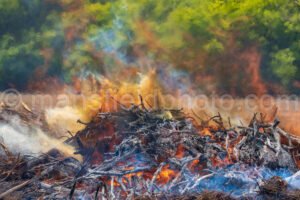 Controlled Burn A4-07498 - Mansfield Photography
